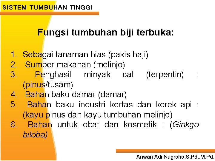 SISTEM TUMBUHAN TINGGI Fungsi tumbuhan biji terbuka: ____ Click __ to ____ edit Master