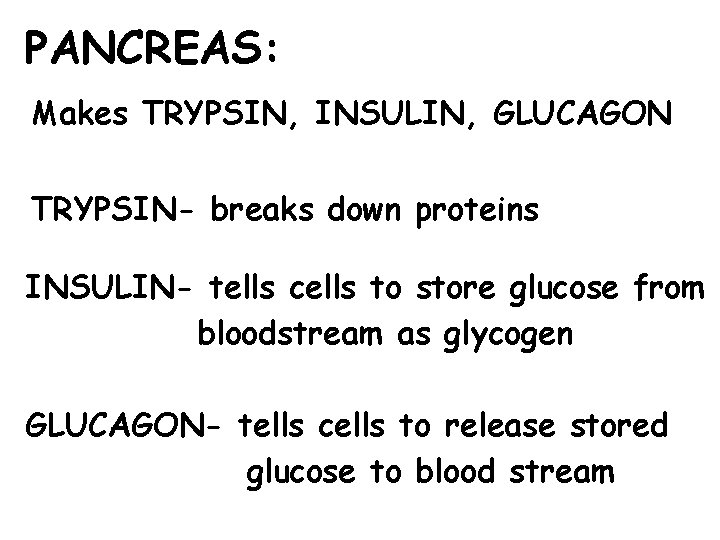 PANCREAS: Makes TRYPSIN, INSULIN, GLUCAGON TRYPSIN- breaks down proteins INSULIN- tells cells to store