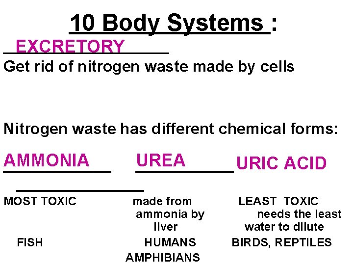 10 Body Systems : __________ EXCRETORY Get rid of nitrogen waste made by cells