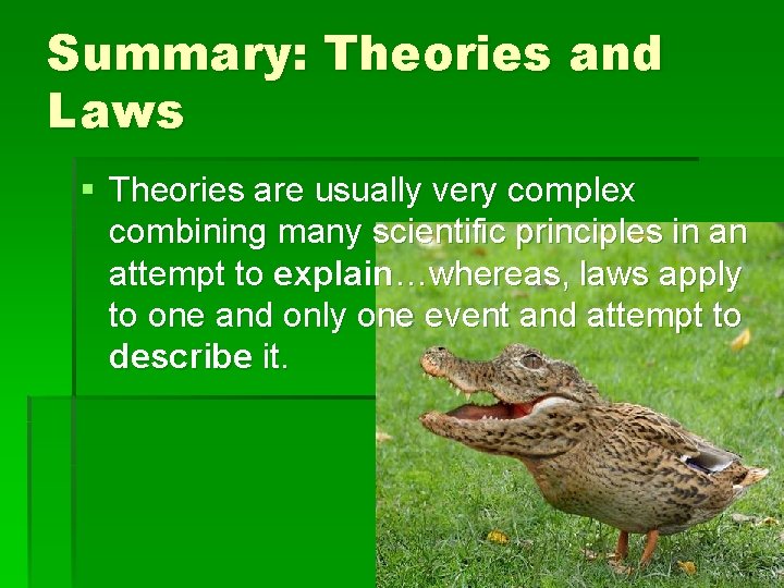 Summary: Theories and Laws § Theories are usually very complex combining many scientific principles