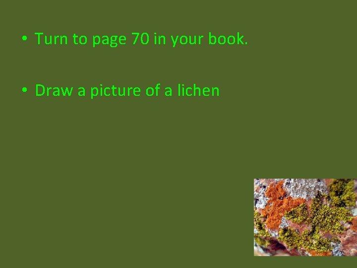  • Turn to page 70 in your book. • Draw a picture of