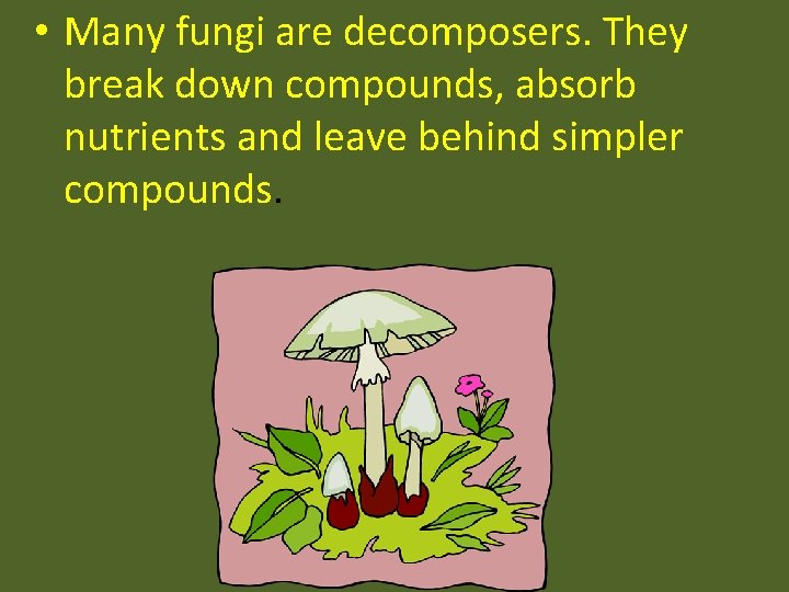  • Many fungi are decomposers. They break down compounds, absorb nutrients and leave