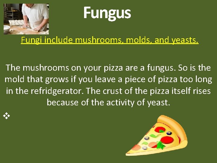Fungus Fungi include mushrooms, molds, and yeasts. The mushrooms on your pizza are a