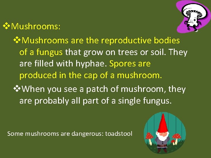 v. Mushrooms: v. Mushrooms are the reproductive bodies of a fungus that grow on