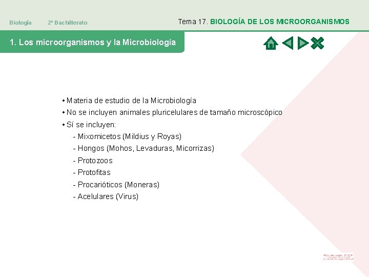 Biología 2º Bachillerato Tema 17. BIOLOGÍA DE LOS MICROORGANISMOS 1. Los microorganismos y la