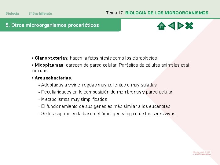 Biología 2º Bachillerato Tema 17. BIOLOGÍA DE LOS MICROORGANISMOS 5. Otros microorganismos procarióticos •