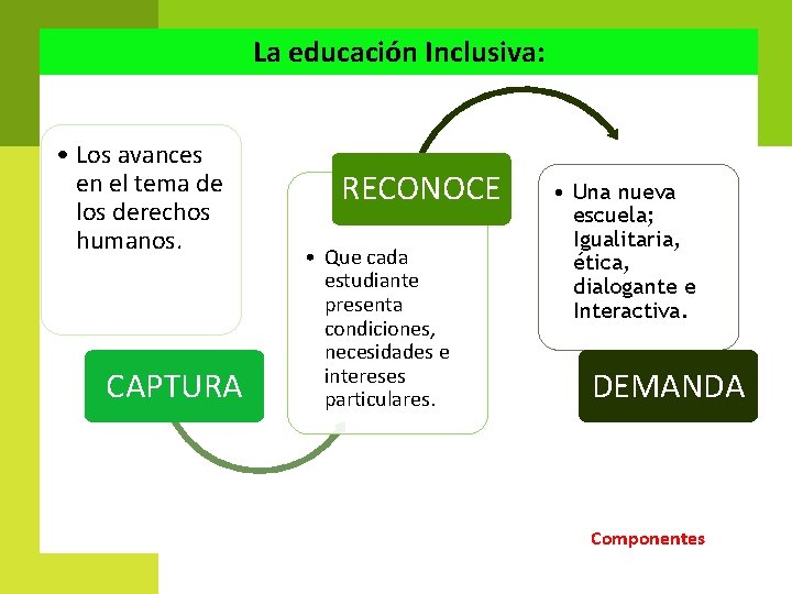 La educación Inclusiva: • Los avances en el tema de los derechos humanos. CAPTURA