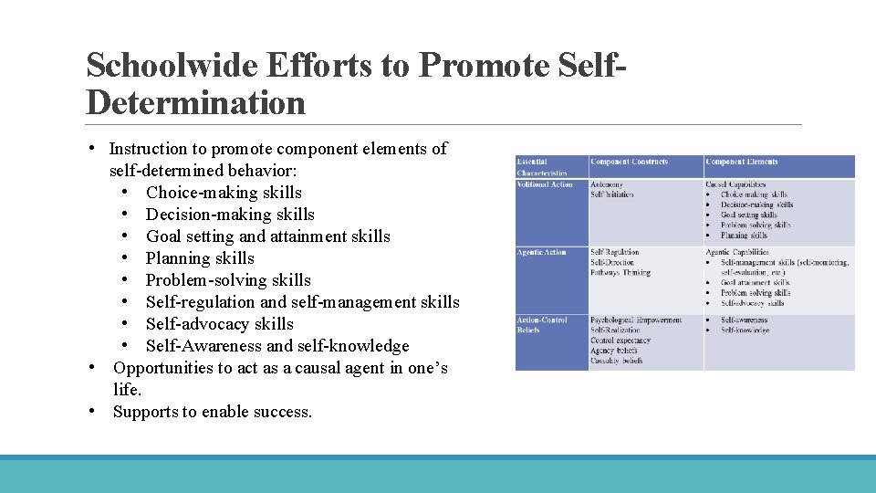 Promoting Self-Determination Schoolwide Efforts to Promote Self. Determination • Instruction to promote component elements