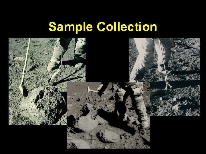 Sample Collection 