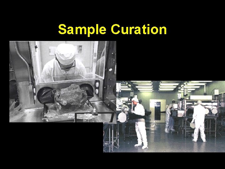 Sample Curation 