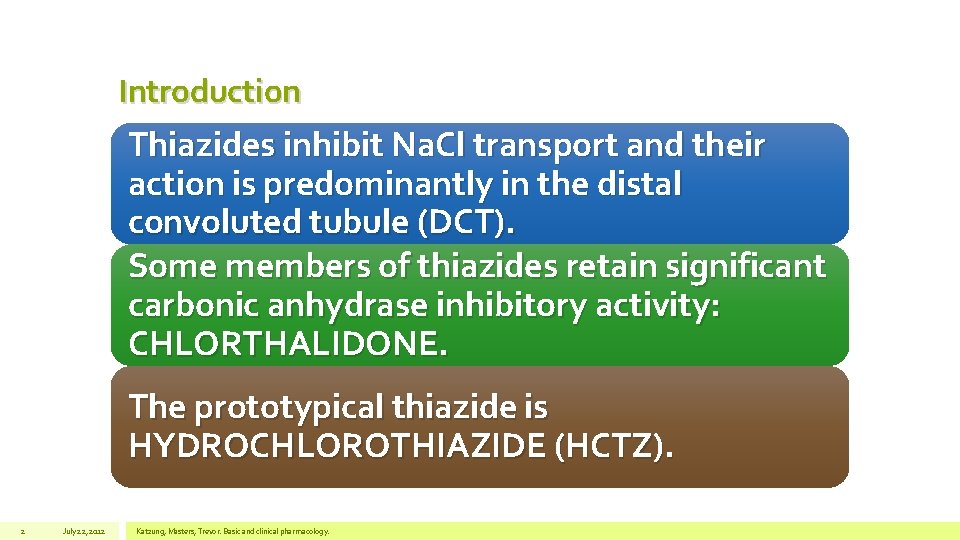 Introduction Thiazides inhibit Na. Cl transport and their action is predominantly in the distal