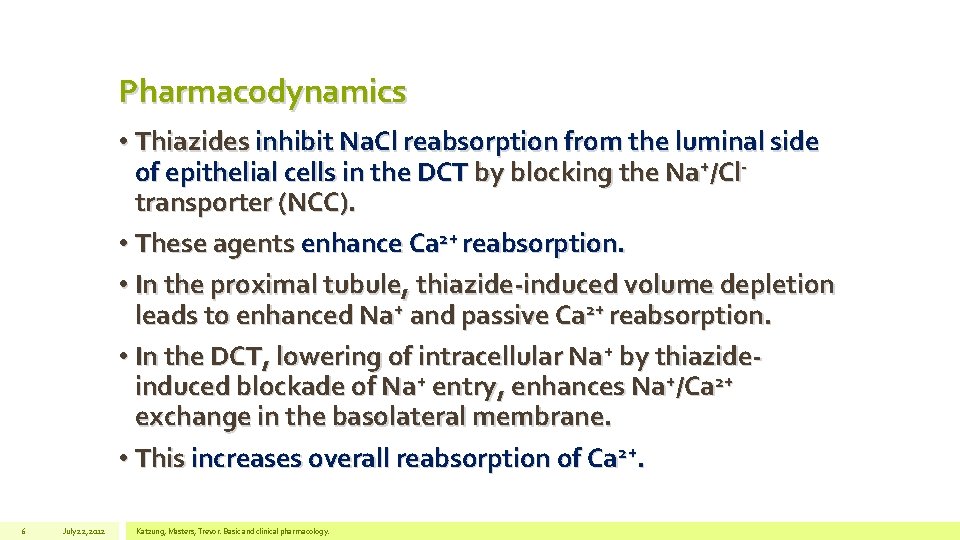 Pharmacodynamics • Thiazides inhibit Na. Cl reabsorption from the luminal side of epithelial cells