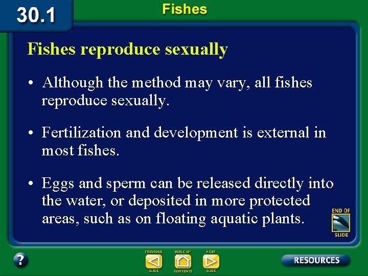 Fishes reproduce sexually • Although the method may vary, all fishes reproduce sexually. •