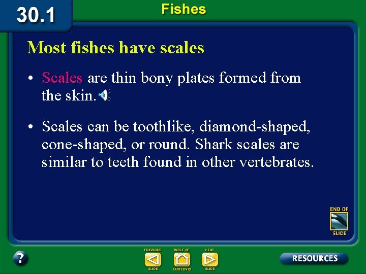 Most fishes have scales • Scales are thin bony plates formed from the skin.