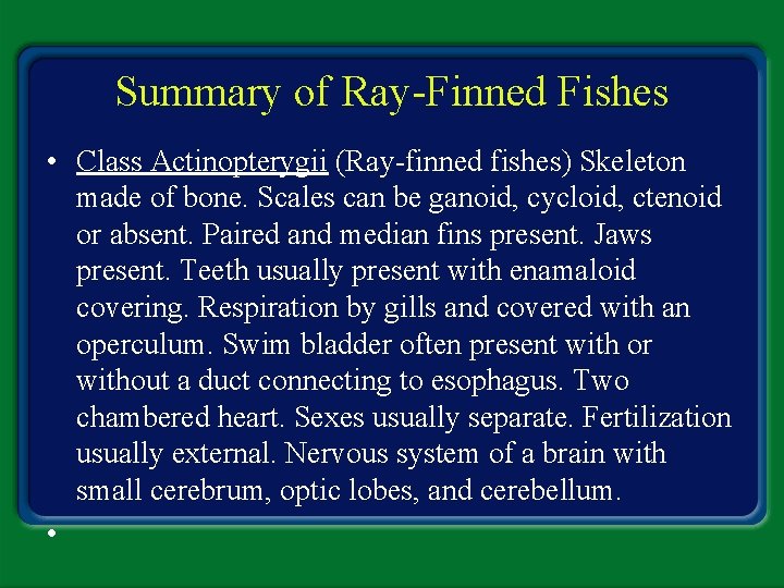 Summary of Ray-Finned Fishes • Class Actinopterygii (Ray-finned fishes) Skeleton made of bone. Scales