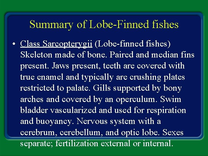 Summary of Lobe-Finned fishes • Class Sarcopterygii (Lobe-finned fishes) Skeleton made of bone. Paired