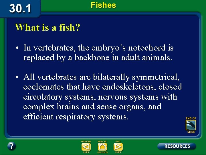 What is a fish? • In vertebrates, the embryo’s notochord is replaced by a