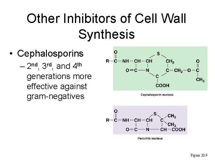 Other Inhibitors of Cell Wall Synthesis • Cephalosporins – 2 nd, 3 rd, and Other Inhibitors of Cell Wall Synthesis • Cephalosporins – 2 nd, 3 rd, and