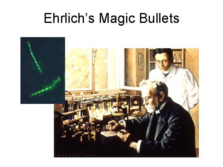 Ehrlich’s Magic Bullets  Ehrlich’s Magic Bullets