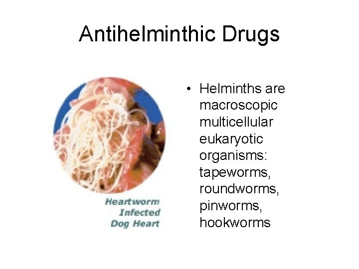 Antihelminthic Drugs • Helminths are macroscopic multicellular eukaryotic organisms: tapeworms, roundworms, pinworms, hookworms  Antihelminthic Drugs • Helminths are macroscopic multicellular eukaryotic organisms: tapeworms, roundworms, pinworms, hookworms