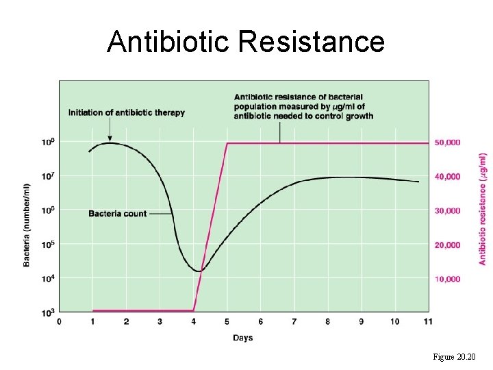 Antibiotic Resistance Figure 20. 20  Antibiotic Resistance Figure 20. 20