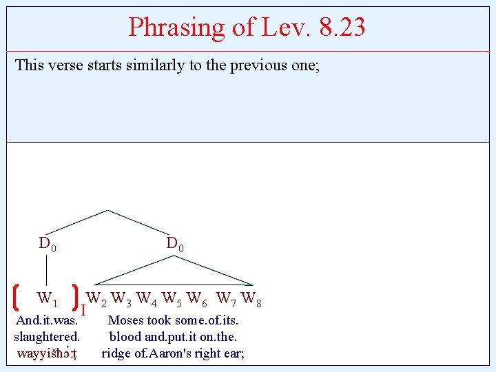 Phrasing of Lev. 8. 23 This verse starts similarly to the previous one; D