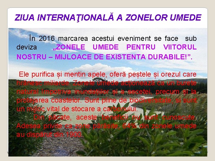 ZIUA INTERNAŢIONALĂ A ZONELOR UMEDE În 2016 marcarea acestui eveniment se face sub deviza