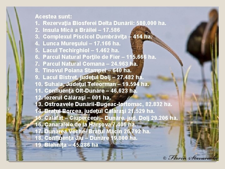 Acestea sunt: 1. Rezervaţia Biosferei Delta Dunării: 580. 000 ha. 2. Insula Mică a