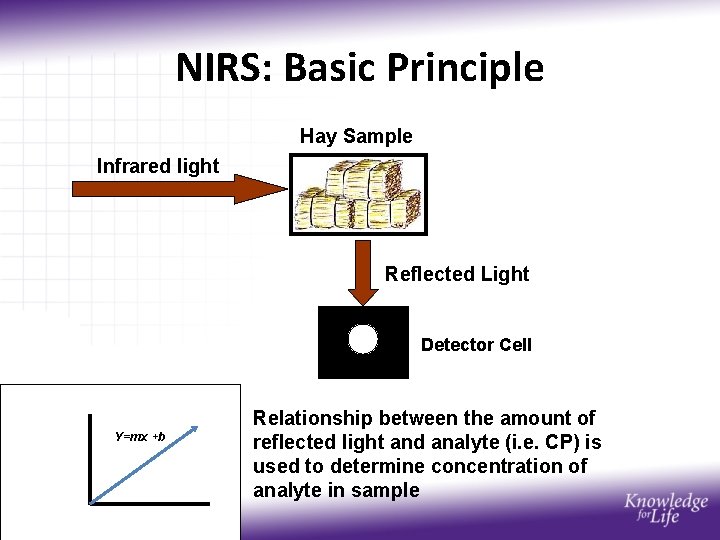 NIRS: Basic Principle Hay Sample Infrared light Reflected Light Detector Cell Y=mx +b Relationship