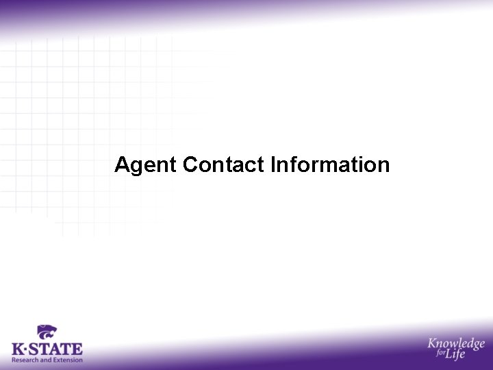 Agent Contact Information 
