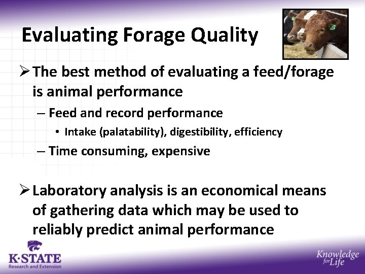 Evaluating Forage Quality Ø The best method of evaluating a feed/forage is animal performance