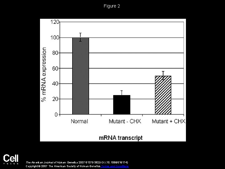 Figure 2 The American Journal of Human Genetics 2007 81375 -382 DOI: (10. 1086/519174)