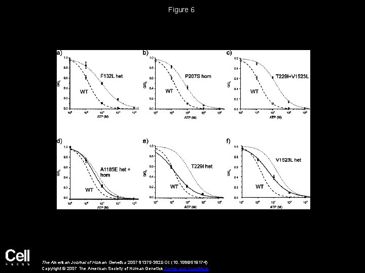 Figure 6 The American Journal of Human Genetics 2007 81375 -382 DOI: (10. 1086/519174)