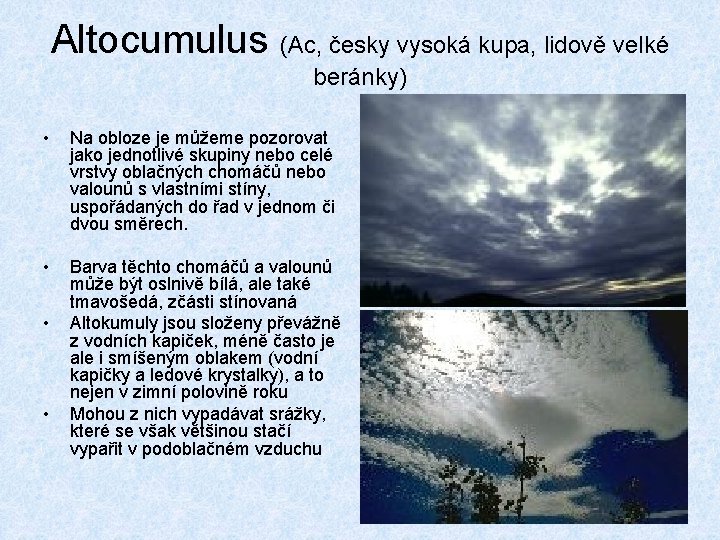Altocumulus (Ac, česky vysoká kupa, lidově velké beránky) • Na obloze je můžeme pozorovat