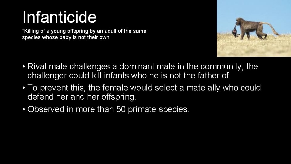Infanticide *Killing of a young offspring by an adult of the same species whose