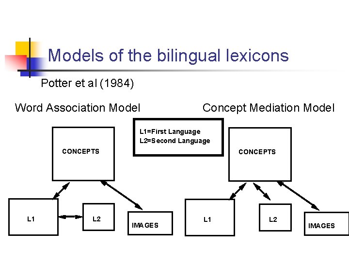 Models of the bilingual lexicons Potter et al (1984) Word Association Model Concept Mediation