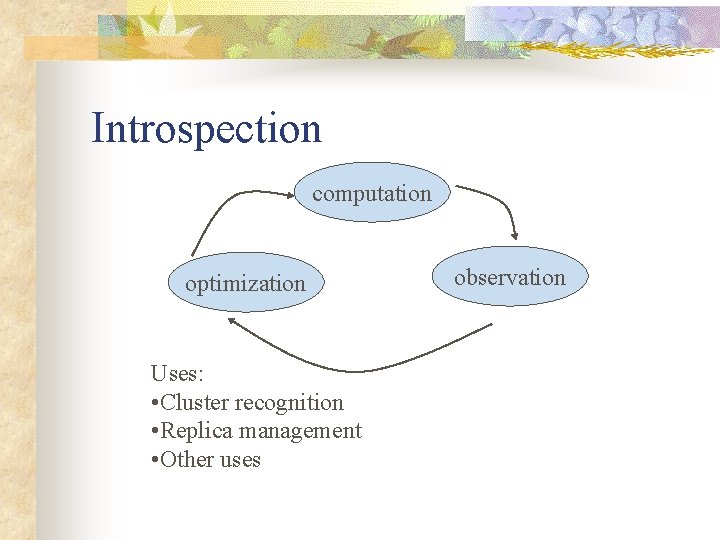 Introspection computation optimization Uses: • Cluster recognition • Replica management • Other uses observation