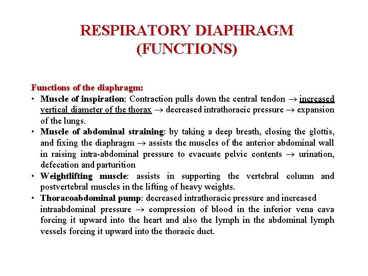 RESPIRATORY DIAPHRAGM (FUNCTIONS) Functions of the diaphragm: • Muscle of inspiration: Contraction pulls down