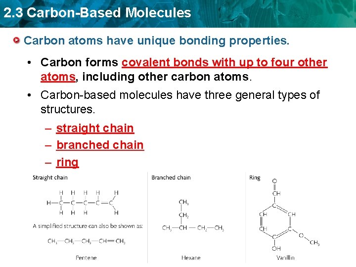 2. 3 Carbon-Based Molecules Carbon atoms have unique bonding properties. • Carbon forms covalent