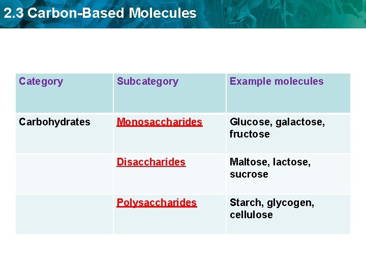 2. 3 Carbon-Based Molecules Category Subcategory Example molecules Carbohydrates Monosaccharides Glucose, galactose, fructose Disaccharides