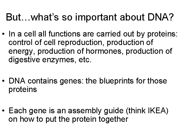 But…what’s so important about DNA? • In a cell all functions are carried out