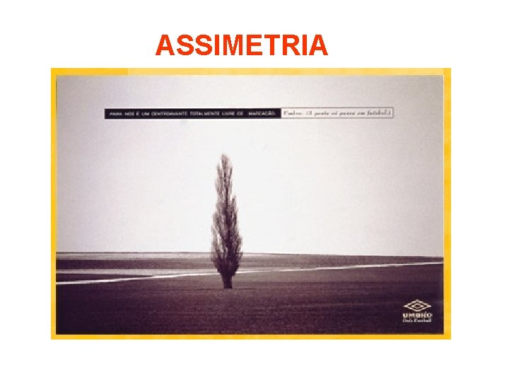 ASSIMETRIA 