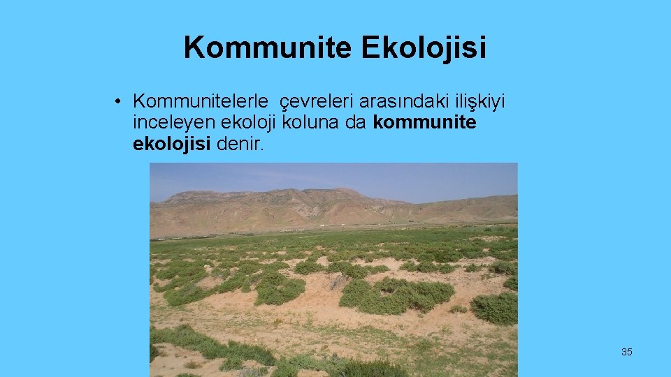 Kommunite Ekolojisi • Kommunitelerle çevreleri arasındaki ilişkiyi inceleyen ekoloji koluna da kommunite ekolojisi denir.