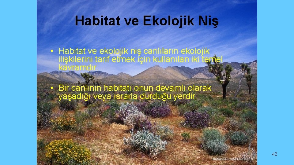 Habitat ve Ekolojik Niş • Habitat ve ekolojik niş canlıların ekolojik ilişkilerini tarif etmek
