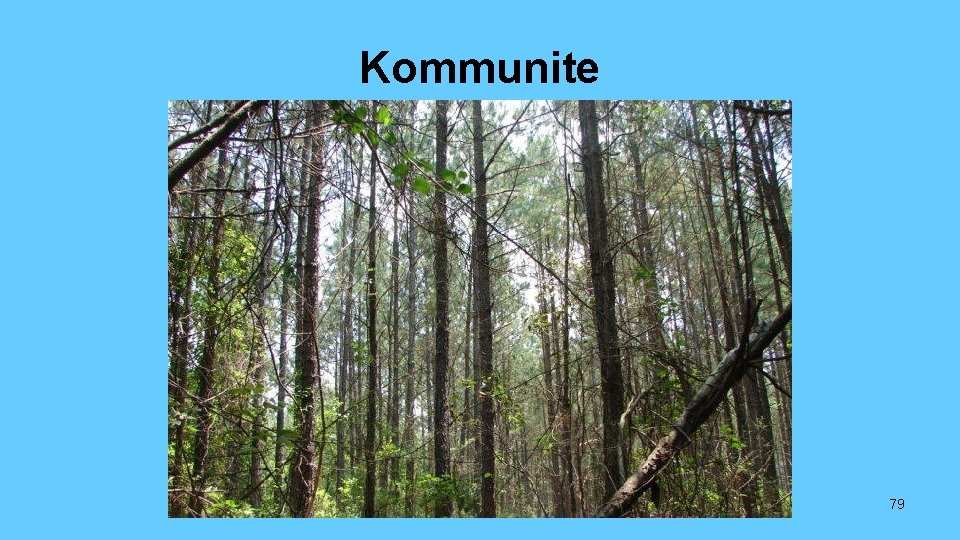 Kommunite 79 