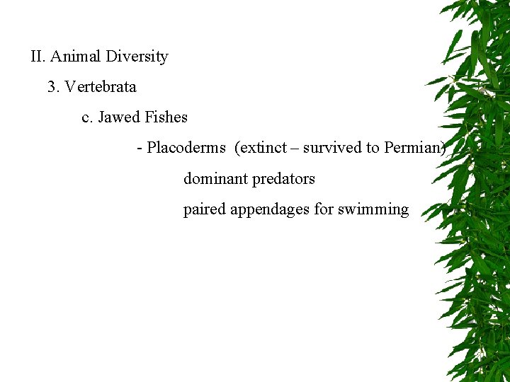 II. Animal Diversity 3. Vertebrata c. Jawed Fishes - Placoderms (extinct – survived to