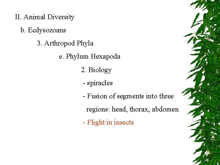 II. Animal Diversity b. Ecdysozoans 3. Arthropod Phyla e. Phylum Hexapoda 2. Biology -