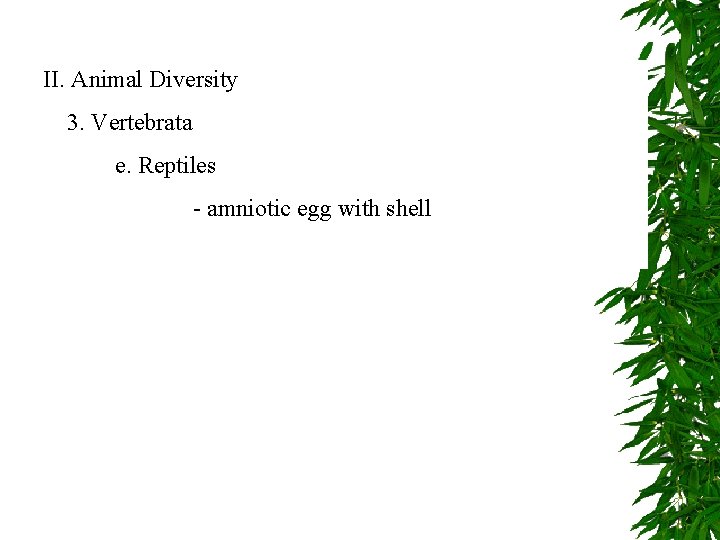 II. Animal Diversity 3. Vertebrata e. Reptiles - amniotic egg with shell 