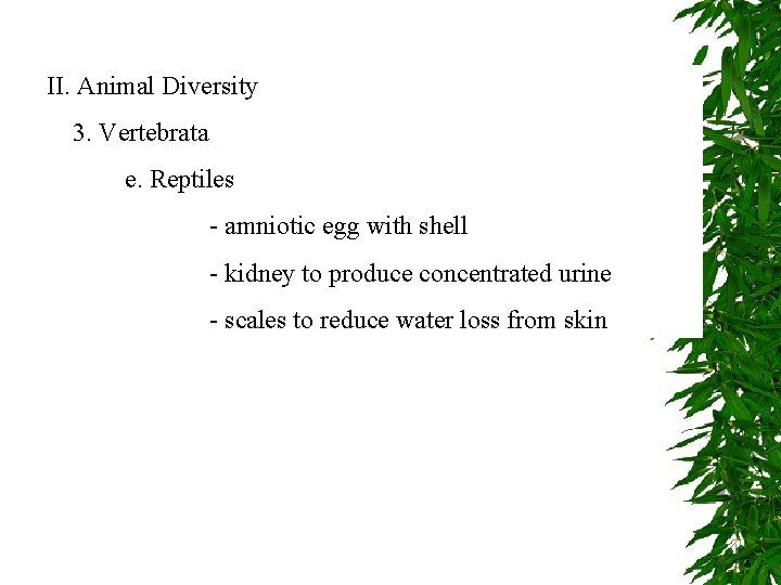 II. Animal Diversity 3. Vertebrata e. Reptiles - amniotic egg with shell - kidney