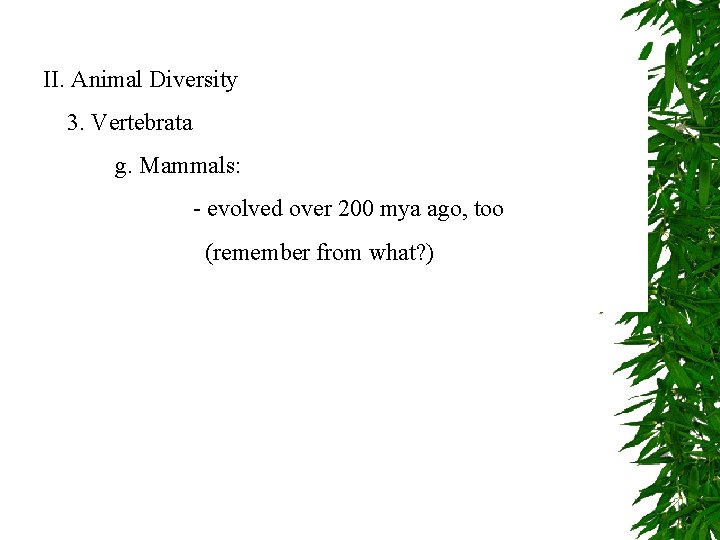 II. Animal Diversity 3. Vertebrata g. Mammals: - evolved over 200 mya ago, too